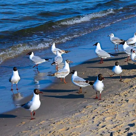 Nachtstern Comfortable Casa de Férias *