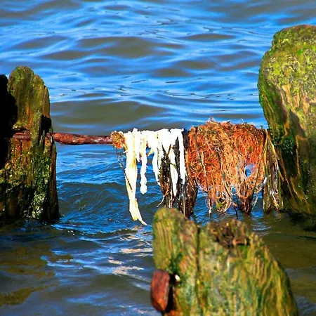Nachtstern Comfortable Casa de Férias Zinnowitz