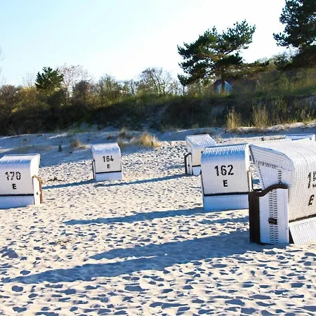 Nachtstern Comfortable *