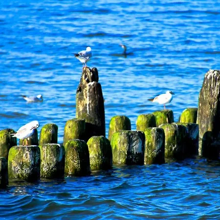 Casa de Férias Nachtstern Comfortable Zinnowitz